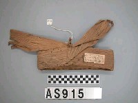 藏品(環形樹皮頭冠)的圖片